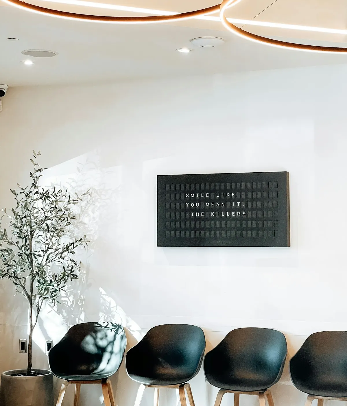 Waiting area with black chairs, a plant and soft lighting