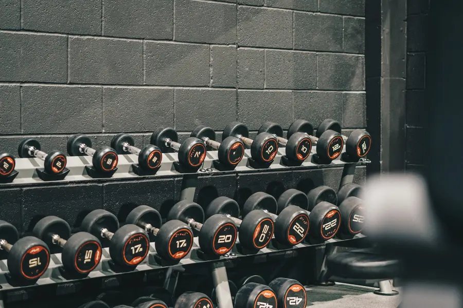 Racks of dumbbells lined up on the gym floor