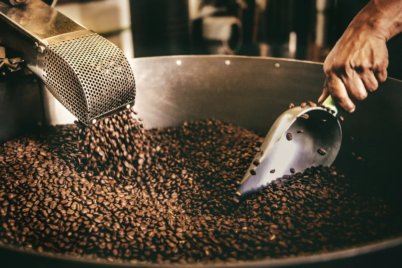 A scoop turning freshly roasted beans in the roaster’s cooling tray