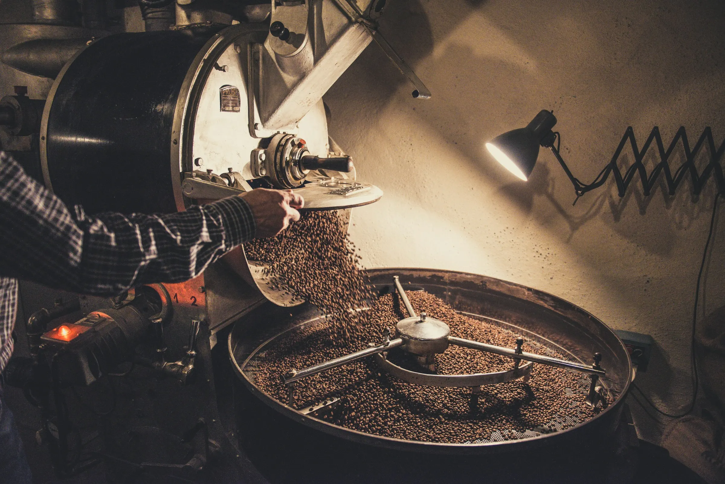 Freshly roasted coffee beans pouring into the cooling tray of a drum roaster under a desk lamp