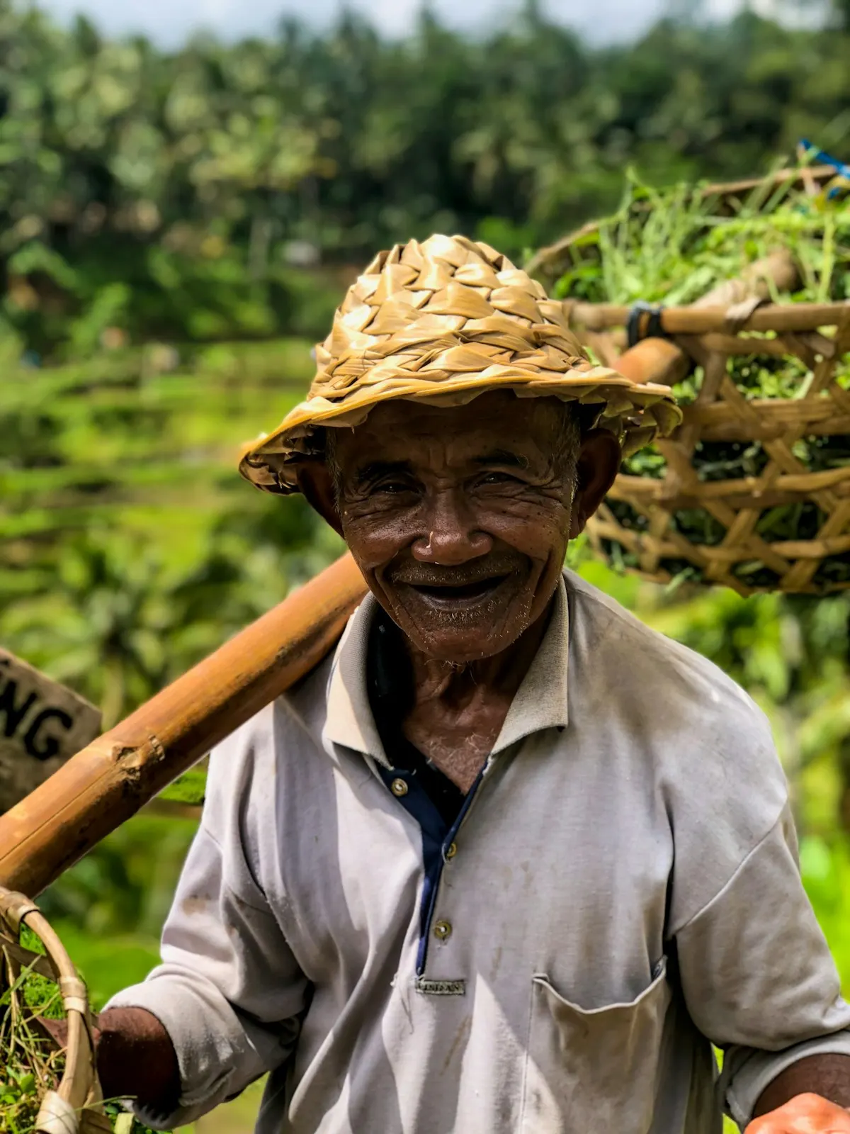 A coffee farmer in a woven hat smiling among coffee trees